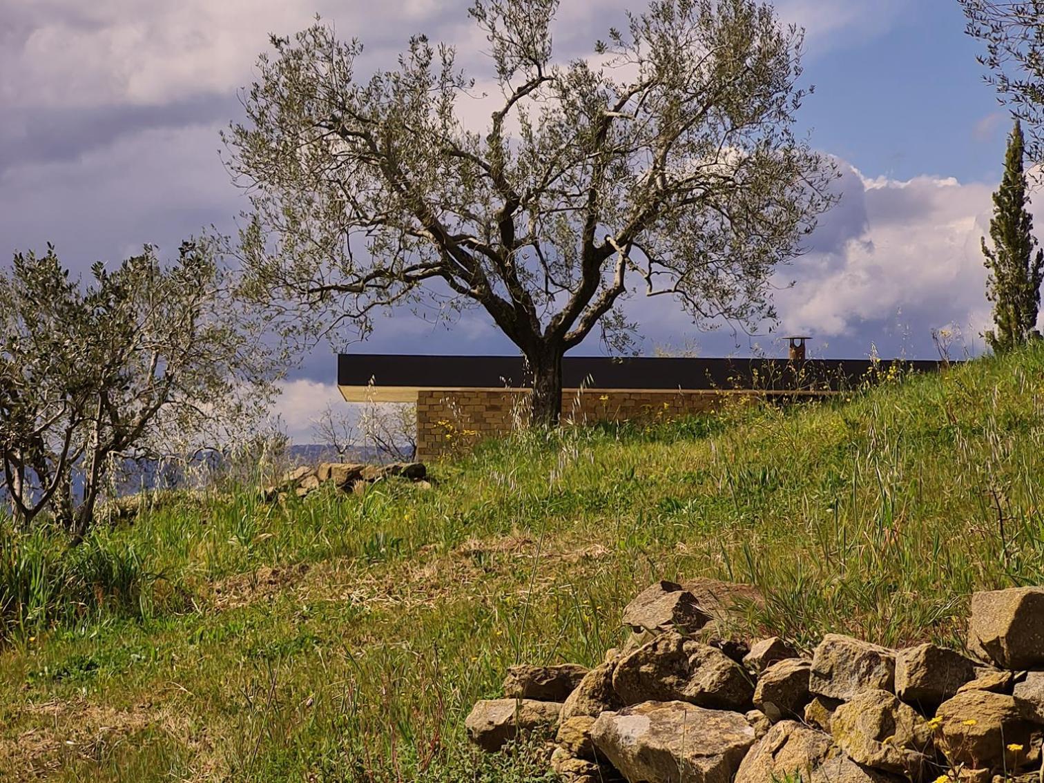 Bed and Breakfast Poggio Cagnano Manciano Exterior foto